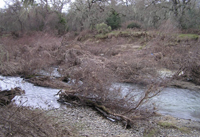 Napa River